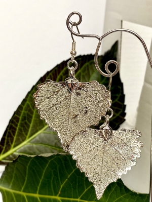 Cottonwood Leaf Earrings Silver