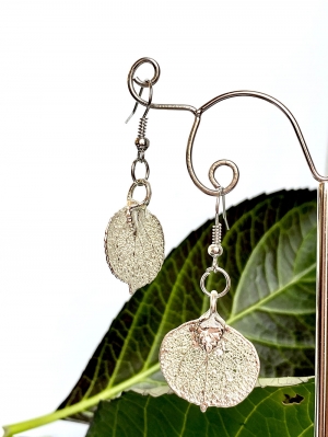 Aspen Leaf Silver Earrings